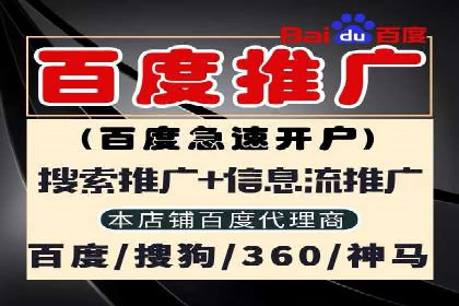 信息流广告推广成功案例深度剖析